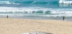 Tamarama Beach