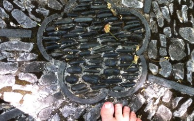 A revolution in connection