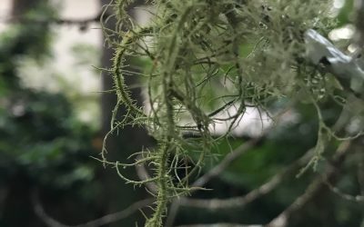 Taking my time, finding my way, showing up