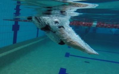 Shadows, isolation and reconnection to spirit