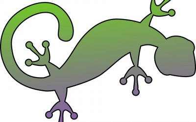 A journey of exploration