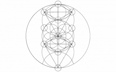 Embracing the scholar